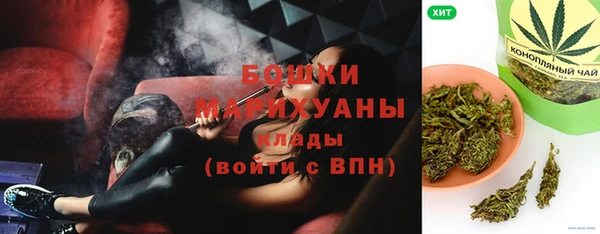 PSILOCYBIN Иннополис