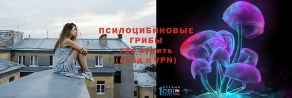 PSILOCYBIN Иннополис