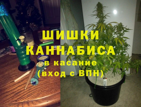 PSILOCYBIN Иннополис