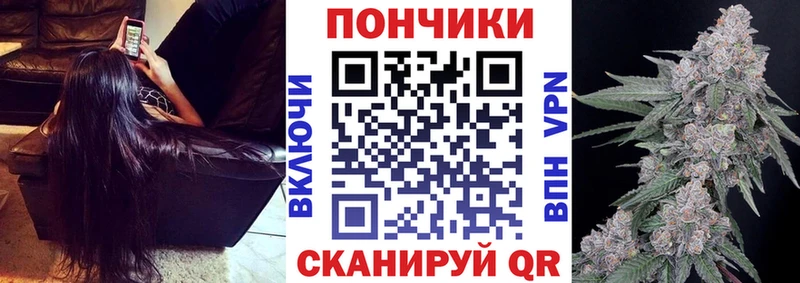 shop телеграм  купить   Кандалакша  Бошки марихуана SATIVA & INDICA 